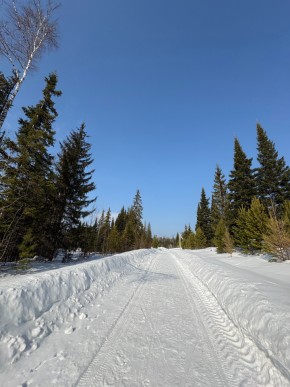 ДП Родной в Красноуфимске - krasnoufimsk.yutvil.ru - фото 7