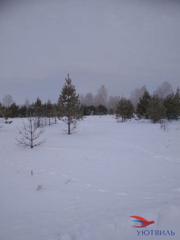 Земельный участок поселок Баженово в Красноуфимске - krasnoufimsk.yutvil.ru - фото 5