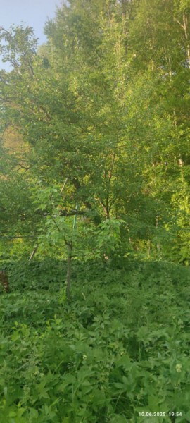 г Верхняя пышма, СНТ Мираж, уч.№ 99 в Красноуфимске - krasnoufimsk.yutvil.ru - фото 10