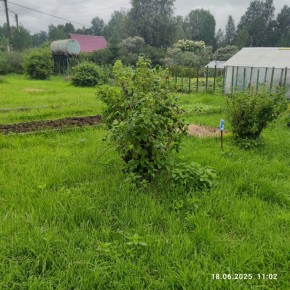 г Верхняя пышма, СНТ Мираж, уч.№ 99 в Красноуфимске - krasnoufimsk.yutvil.ru - фото 11
