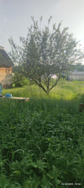 г Верхняя пышма, СНТ Мираж, уч.№ 99 в Красноуфимске - krasnoufimsk.yutvil.ru - фото 19