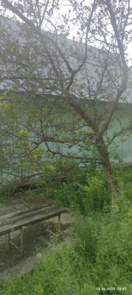 г Верхняя пышма, СНТ Мираж, уч.№ 99 в Красноуфимске - krasnoufimsk.yutvil.ru - фото 26