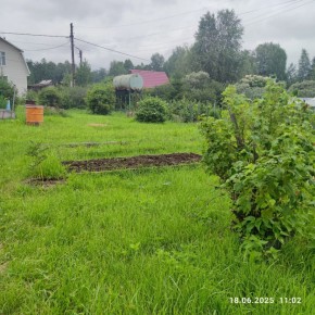 г Верхняя пышма, СНТ Мираж, уч.№ 99 в Красноуфимске - krasnoufimsk.yutvil.ru - фото 8