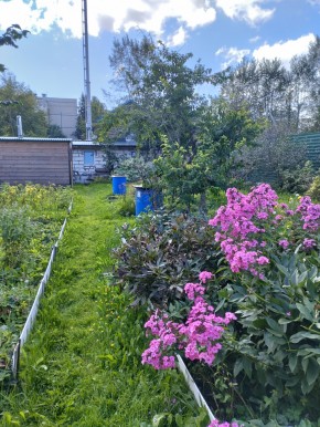 Коллективный сад номер 7, участок 58 в Красноуфимске - krasnoufimsk.yutvil.ru - фото 23