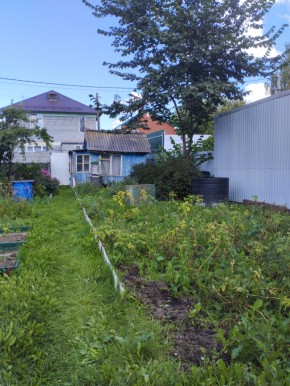 Коллективный сад номер 7, участок 58 в Красноуфимске - krasnoufimsk.yutvil.ru - фото 25
