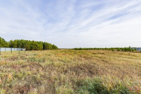 Российская Федерация, Свердловская область, Сысертский городской округ, территория садоводческого некоммерческого товарищества Бобровские дачи, улица Каштановая, земельный участок № 38 в Красноуфимске - krasnoufimsk.yutvil.ru - фото 16