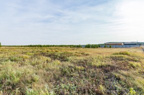 Российская Федерация, Свердловская область, Сысертский городской округ, территория садоводческого некоммерческого товарищества Бобровские дачи, улица Каштановая, земельный участок № 38 в Красноуфимске - krasnoufimsk.yutvil.ru - фото 24