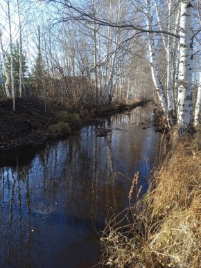 СНТ Берёзка в Красноуфимске - krasnoufimsk.yutvil.ru - фото 14