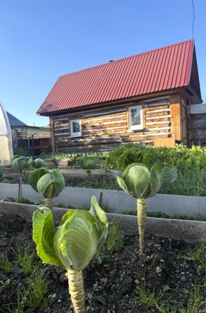 СНТ Дорожник в Красноуфимске - krasnoufimsk.yutvil.ru - фото 19