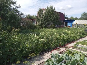 СНТ Медик-2 в Красноуфимске - krasnoufimsk.yutvil.ru - фото 6