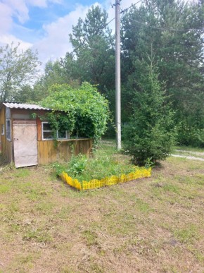 СНТ Родники в Красноуфимске - krasnoufimsk.yutvil.ru - фото 1