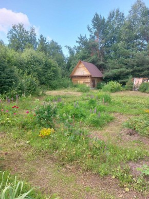 СНТ Родники в Красноуфимске - krasnoufimsk.yutvil.ru - фото 2