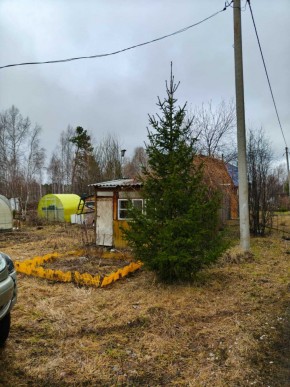 СНТ Родники в Красноуфимске - krasnoufimsk.yutvil.ru - фото 5 СНТ Родники в Красноуфимске - krasnoufimsk.yutvil.ru - фото 5