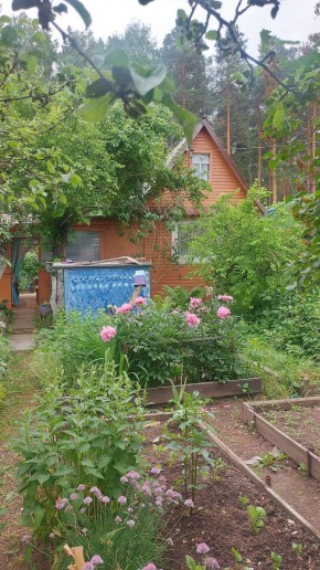 СНТ Садовод-24 в Красноуфимске - krasnoufimsk.yutvil.ru