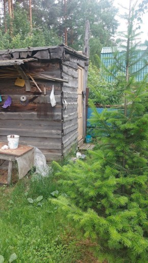 СНТ Садовод-24 в Красноуфимске - krasnoufimsk.yutvil.ru - фото 13