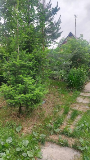 СНТ Садовод-24 в Красноуфимске - krasnoufimsk.yutvil.ru - фото 15