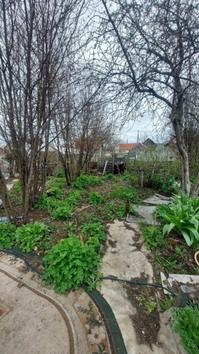 СНТ Сирень, уч. 38 в Красноуфимске - krasnoufimsk.yutvil.ru - фото 7