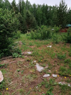 СТН Семья №112, Верхняя пышма на землях бывшего подсобного хозяйтва верхнепышминского опытного завода в Красноуфимске - krasnoufimsk.yutvil.ru - фото 17 СТН Семья №112, Верхняя пышма на землях бывшего подсобного хозяйтва верхнепышминского опытного завода в Красноуфимске - krasnoufimsk.yutvil.ru - фото 17