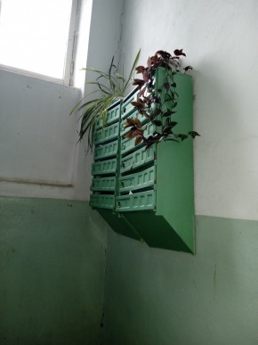 ул. Бажова,11 в Красноуфимске - krasnoufimsk.yutvil.ru - фото 2 ул. Бажова,11 в Красноуфимске - krasnoufimsk.yutvil.ru - фото 2