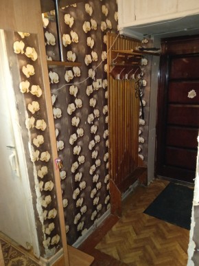 ул. Бажова,11 в Красноуфимске - krasnoufimsk.yutvil.ru - фото 9 ул. Бажова,11 в Красноуфимске - krasnoufimsk.yutvil.ru - фото 9