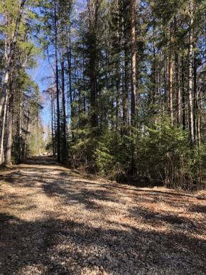 ул. Калиновая,9 в Красноуфимске - krasnoufimsk.yutvil.ru - фото 1