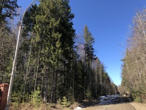 ул. Калиновая,9 в Красноуфимске - krasnoufimsk.yutvil.ru - фото 3