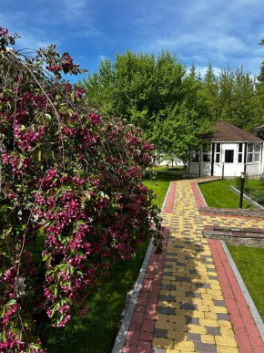 ул. Первомайская,220 в Красноуфимске - krasnoufimsk.yutvil.ru - фото 2