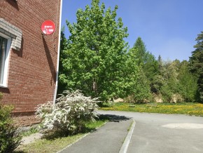 ул. Сосновая, 8 в Красноуфимске - krasnoufimsk.yutvil.ru - фото 25
