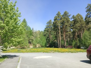 ул. Сосновая, 8 в Красноуфимске - krasnoufimsk.yutvil.ru - фото 26