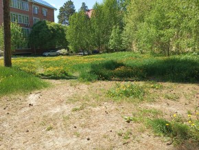 ул. Сосновая, 8 в Красноуфимске - krasnoufimsk.yutvil.ru - фото 33