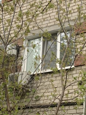 ул. Таганская,8 в Красноуфимске - krasnoufimsk.yutvil.ru - фото 14