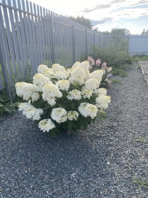 ул. Весенняя,12 в Красноуфимске - krasnoufimsk.yutvil.ru - фото 20