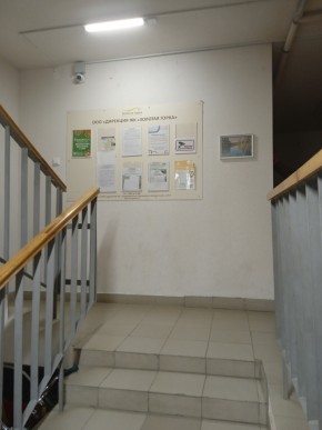 ул. Высокая,7 в Красноуфимске - krasnoufimsk.yutvil.ru - фото 8 ул. Высокая,7 в Красноуфимске - krasnoufimsk.yutvil.ru - фото 8